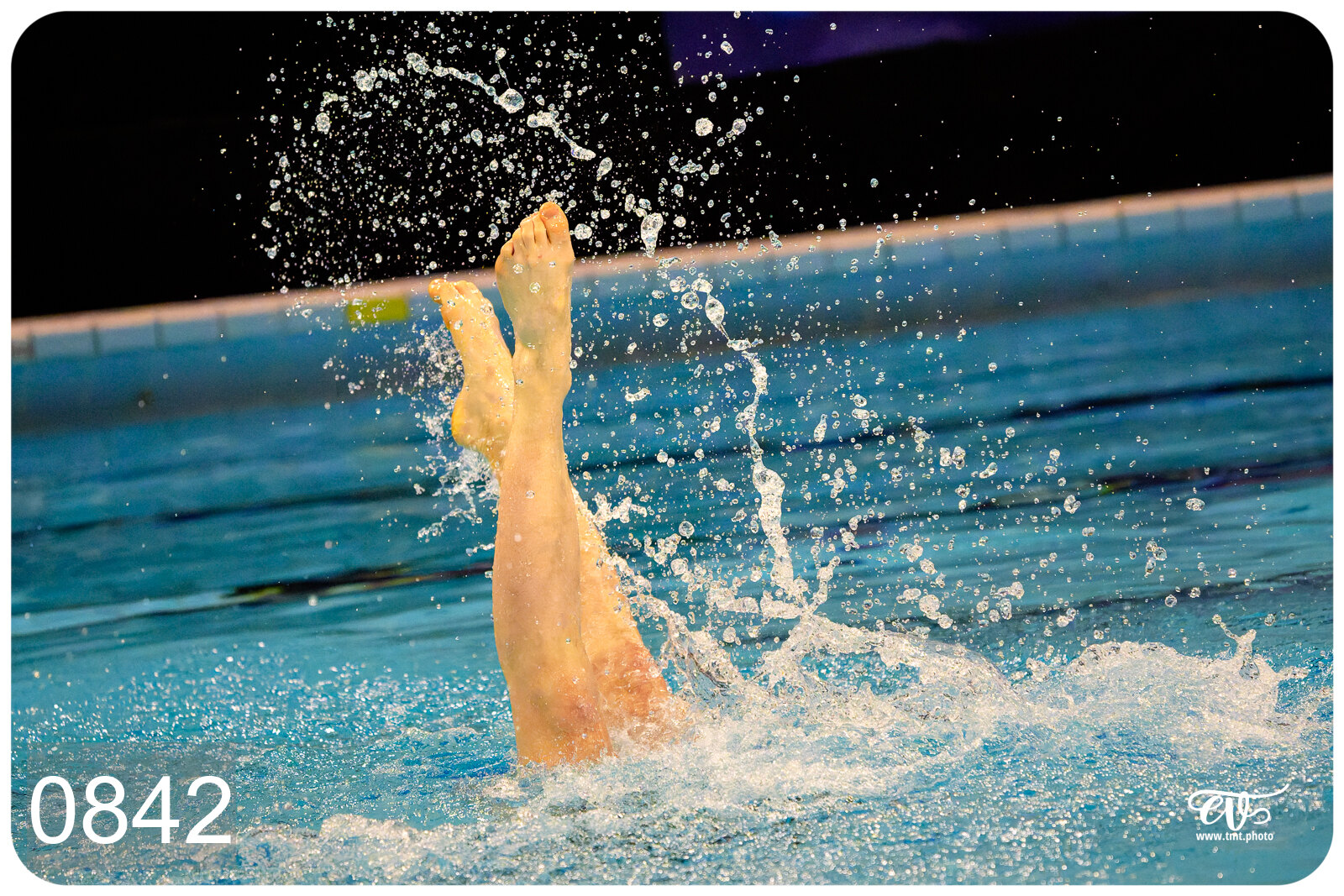 CHAMPIONNAT DE FRANCE DE NATATiON ARTISTIQUE N1 & ELITE 2026